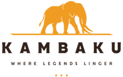 Kambaku Safari Lodge